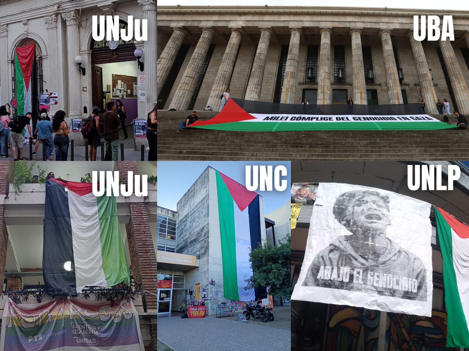 De Jujuy a Neuquén banderas de Palestina en las universidades 