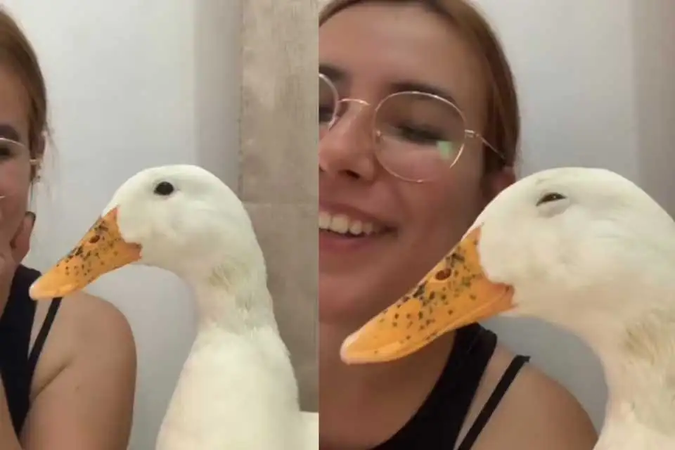 Le pidió a su pato que sonriera para la cámara y el video cautivó a millones en TikTok