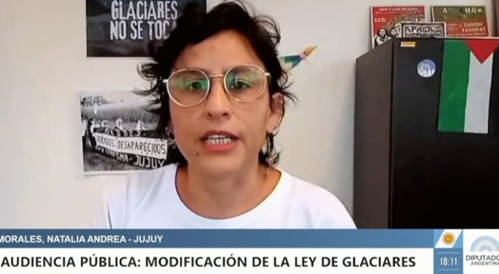Natalia Morales: “Más de 100 mil personas fueron silenciadas en esta falsa audiencia por la Ley de Glaciares”
